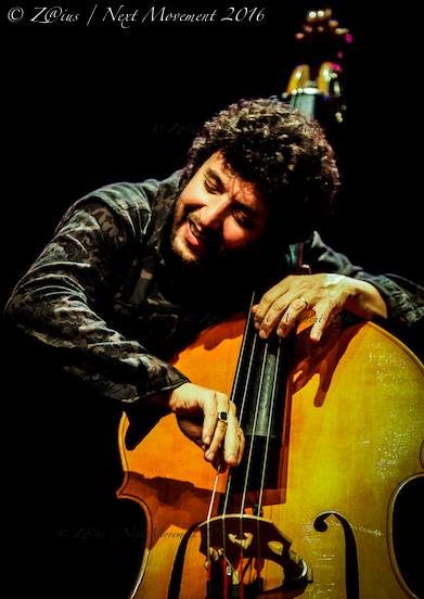 omer avital